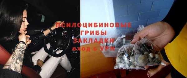 МДПВ Бронницы