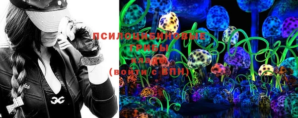 spice Бородино