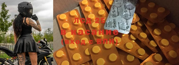 spice Бородино