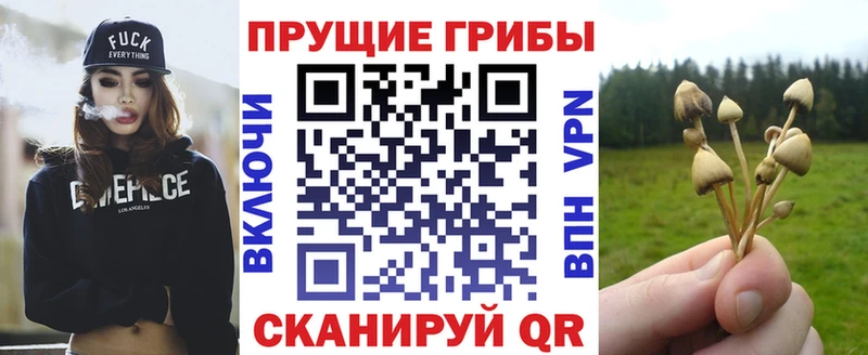 продажа наркотиков  Нижневартовск  Галлюциногенные грибы Psilocybe 